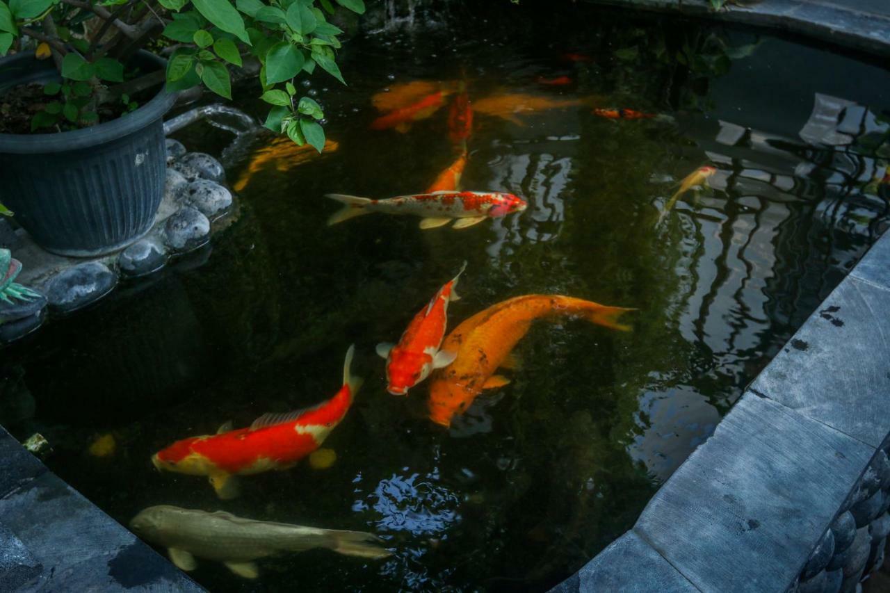 Sekar Waru Homestay Sanur  Ngoại thất bức ảnh